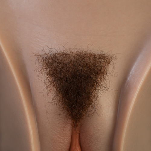 Dreieck [+€69]